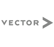 Vector